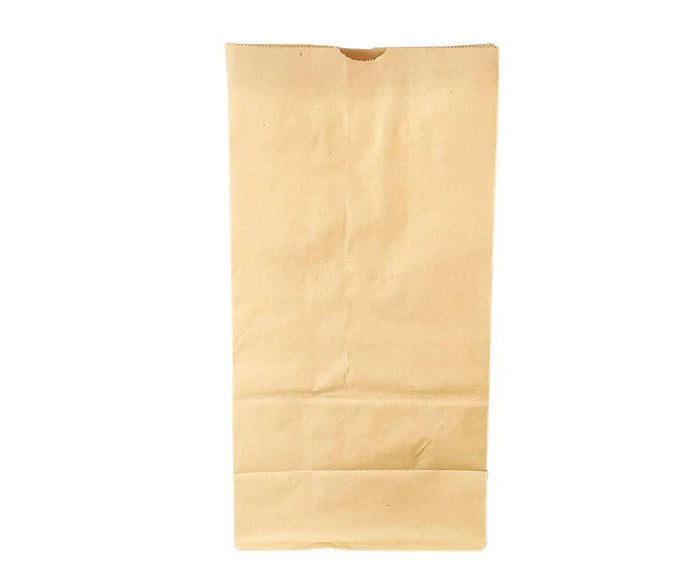 Paper Bags Brown #20
