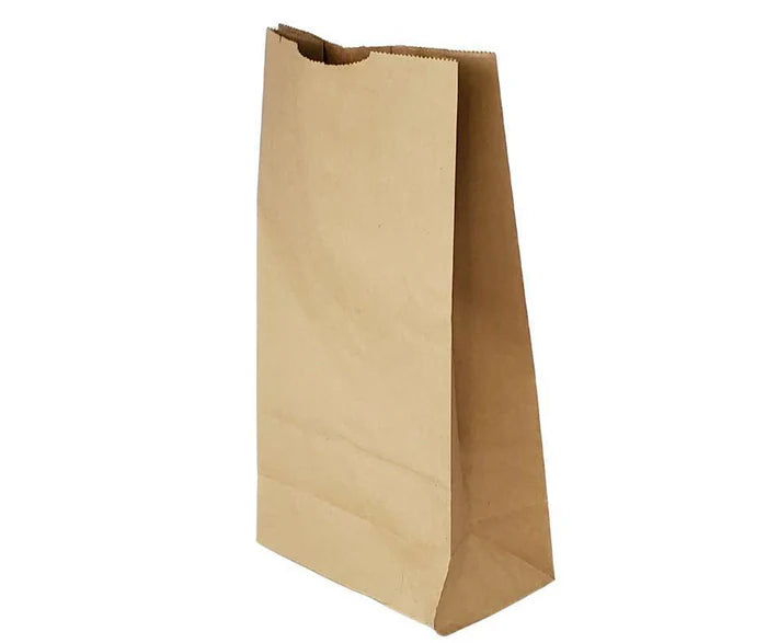 Paper Bags Brown #10