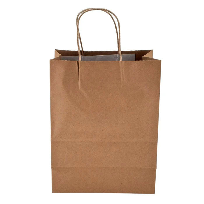 Paper Handle Bag Self Adhesive 8x4.5x10.5