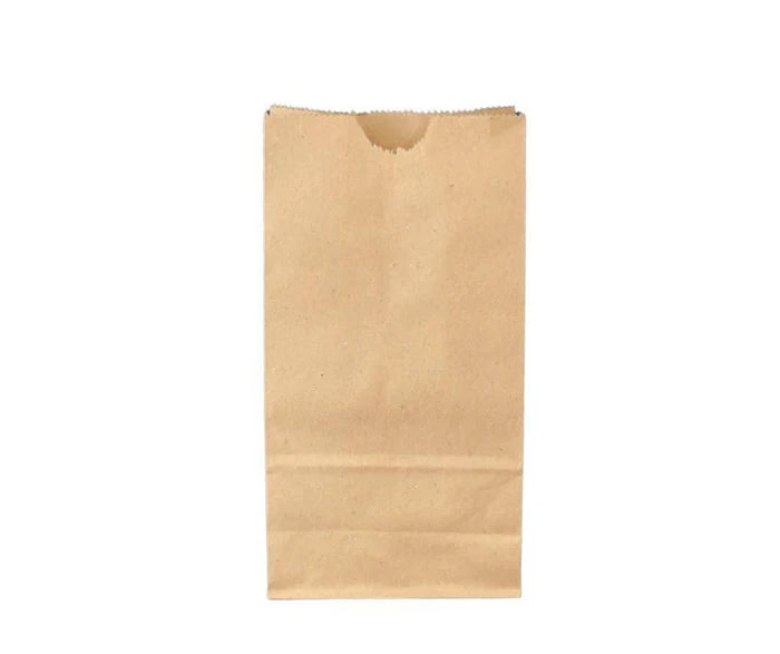 Paper Bags Brown Kraft #2