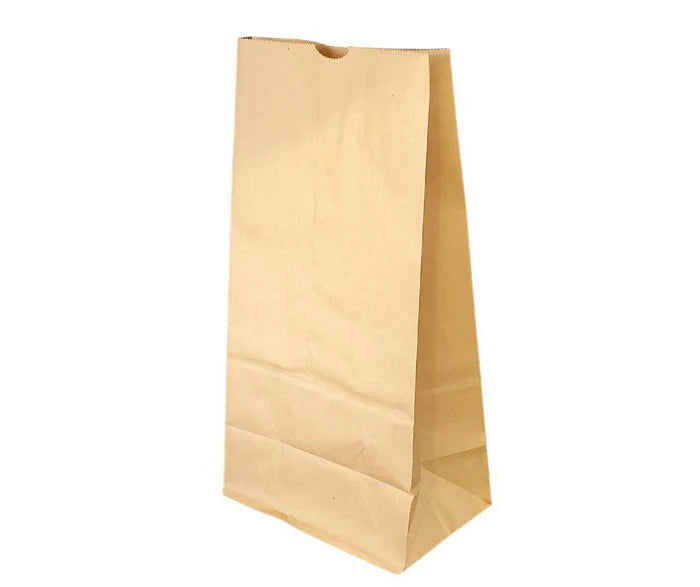 Paper Bags Brown #20