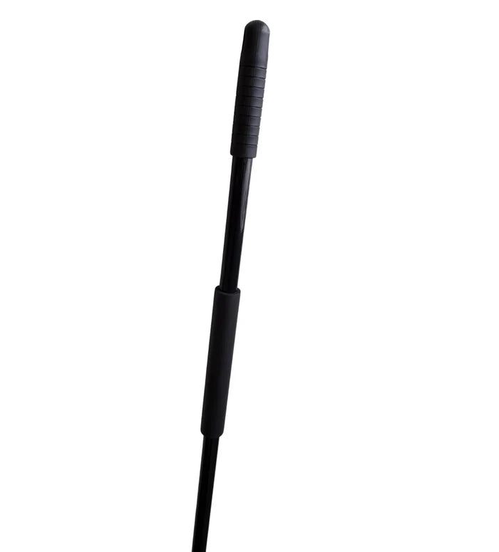 Lobby Dustpan with Broom Set