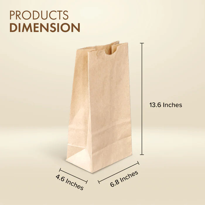 Paper Bags Brown #12