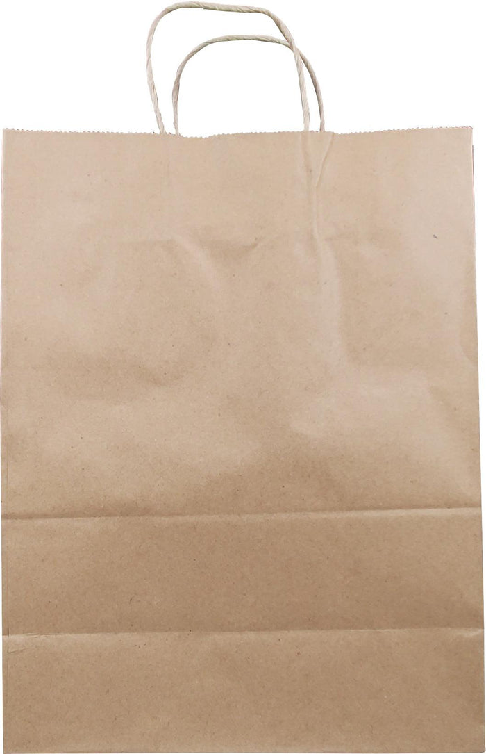 10x5x13 Kraft Paper Bag - Twisted Handle