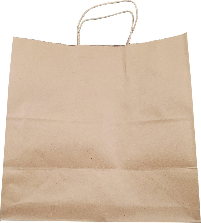 13x7x13 Kraft Paper Bag Twisted Handle