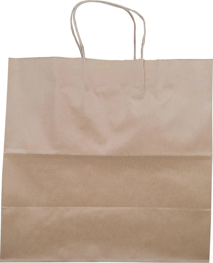 Self Adhesive Paper Bags Twisted Handles 13x7x13