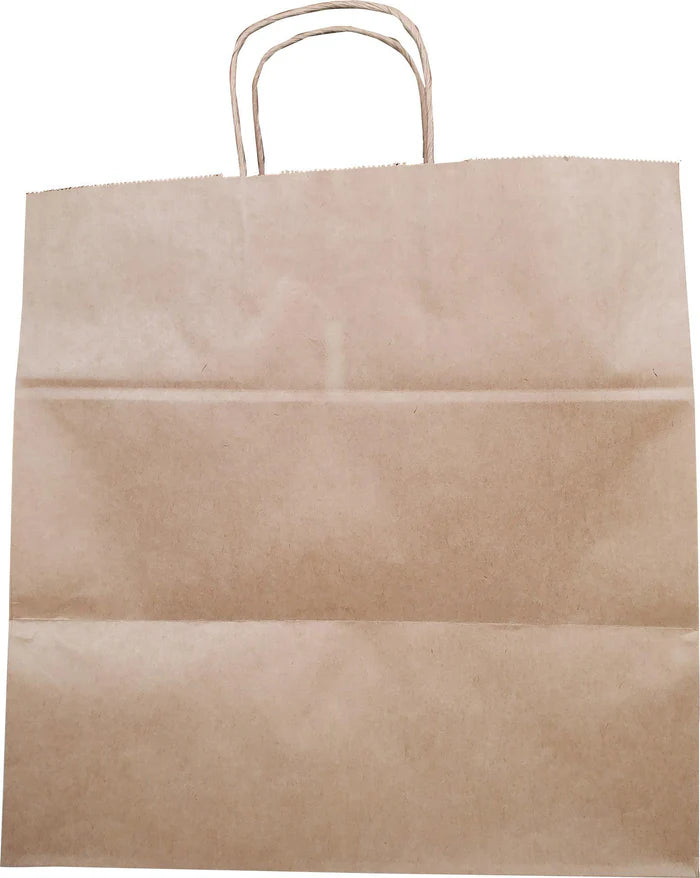 14x10x14 Paper Bags Twisted Handle