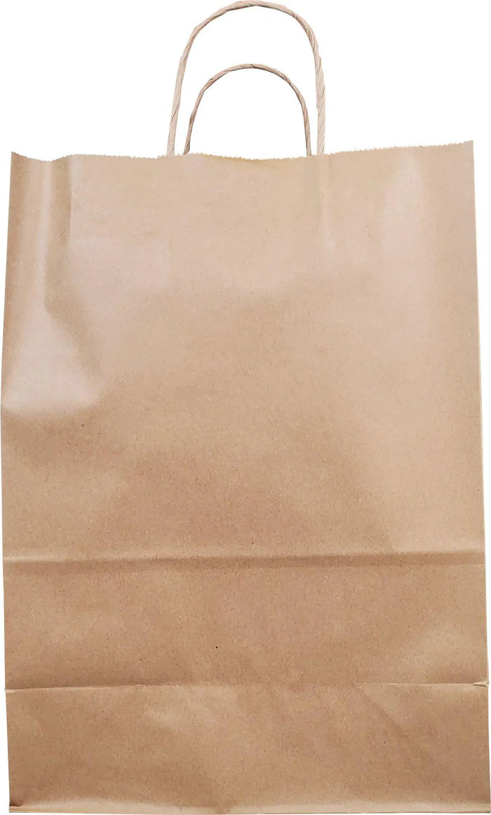 Self Adhesive Paper Bags Twisted Handles 10x5x13