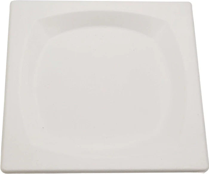 Eco-Craze 8 Square Plate Biodegradable