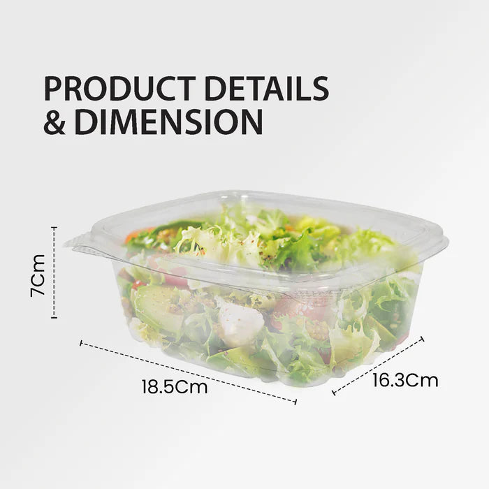 Hinged Deli Container Clear 24oz AD24